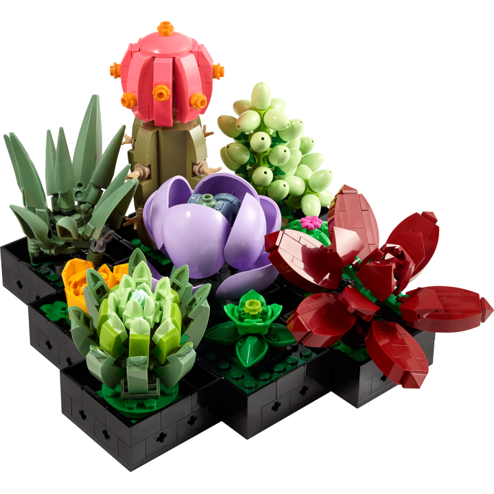 Piante grasse - Lego Icons 10309