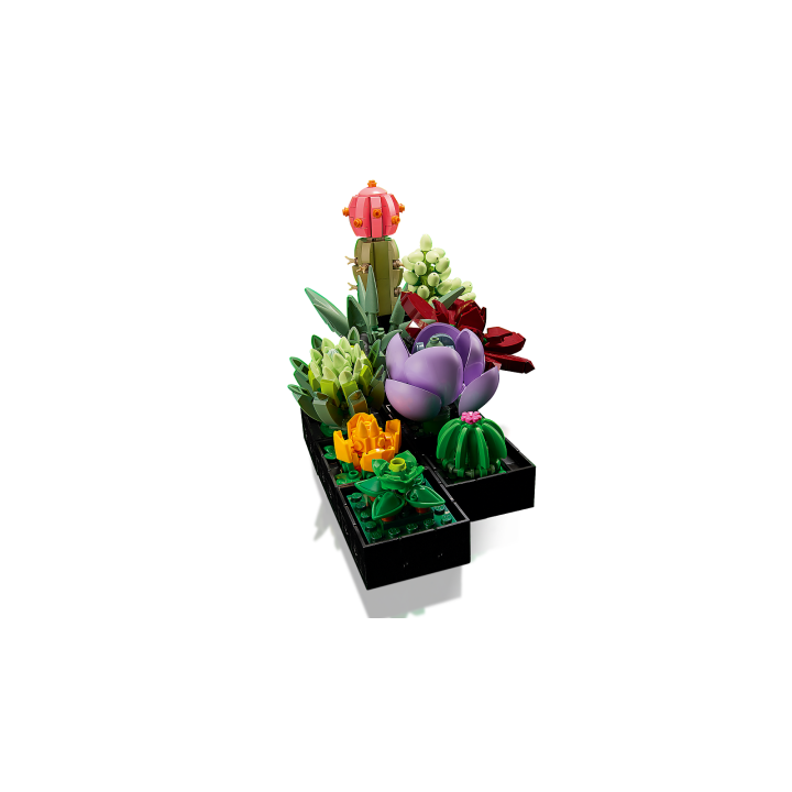 Piante grasse - Lego Icons 10309