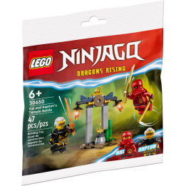 Battaglia Nel Tempio Di Kai E Rapton - Lego Ninjago 30650