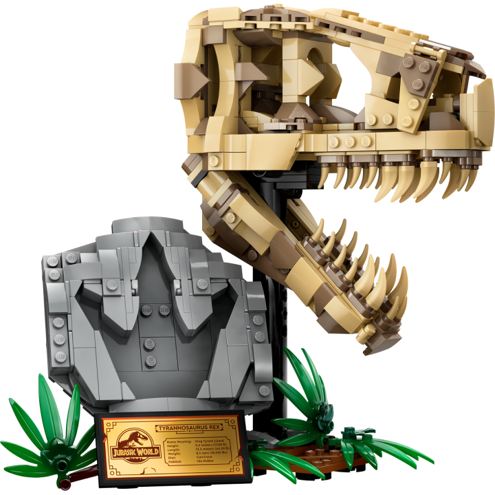 Fossili di dinosauro: Teschio di T.rex - Lego Jurassic World 76964
