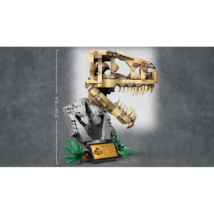 Fossili di dinosauro: Teschio di T.rex - Lego Jurassic World 76964