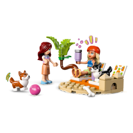 Avventure canine su windskate e sidecar - Lego Friends 42641