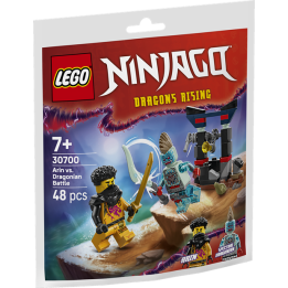 Battaglia di Arin vs. Dragoniano - Lego Ninjago 30700