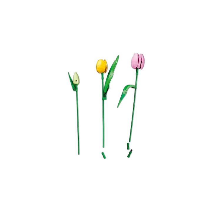 Bouquet di tulipani - Lego Botanical 11501