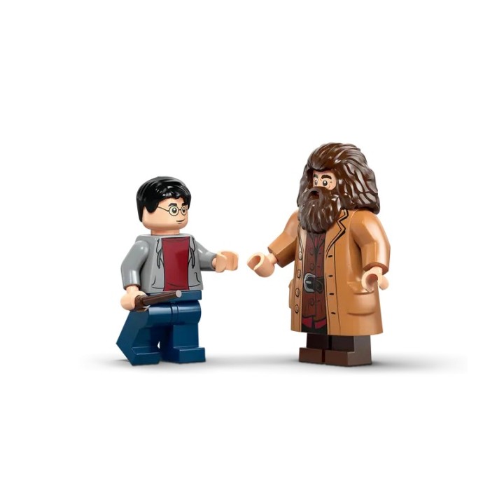Fuga da Privet Drive di Hagrid™ e Harry - Lego Harry Potter 76459