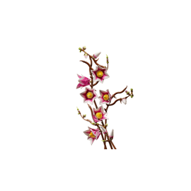 Rametti di magnolia - Lego Botanicals 11510