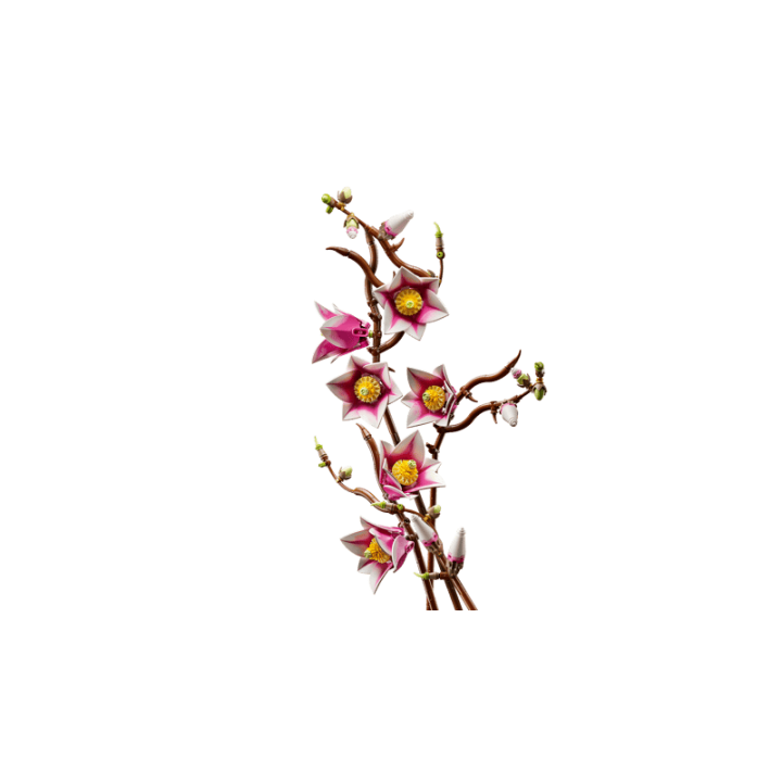 Rametti di magnolia - Lego Botanicals 11510