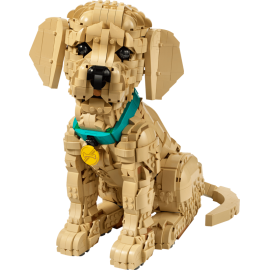 Cucciolo di Golden Retriever - Lego Icons 11384
