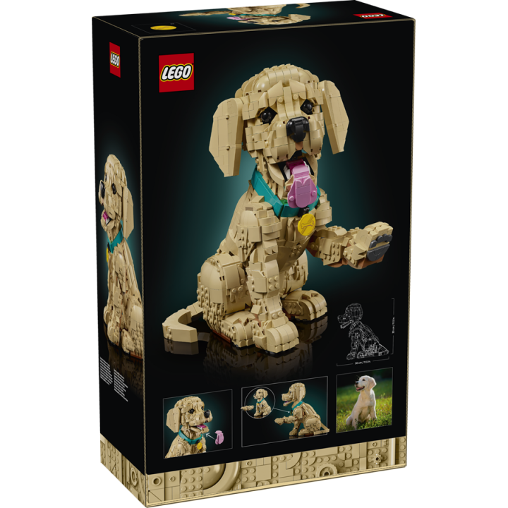 Cucciolo di Golden Retriever - Lego Icons 11384
