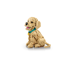 Cucciolo di Golden Retriever - Lego Icons 11384