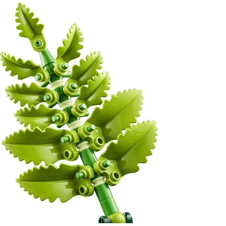 Funghi del bosco - Lego Botanicals 11505