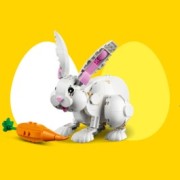 PASQUA